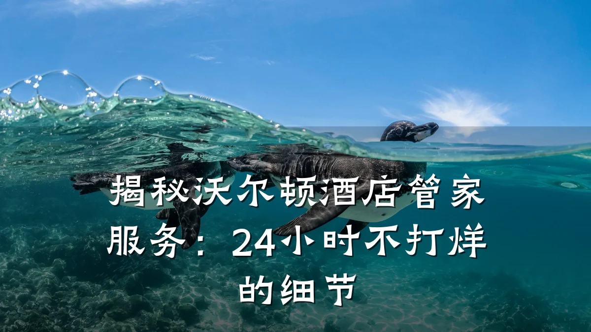 揭秘沃尔顿酒店管家服务：24小时不打烊的细节