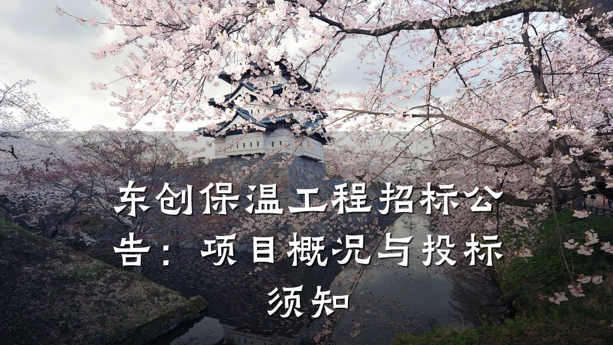 东创保温工程招标公告:项目概况与投标须知