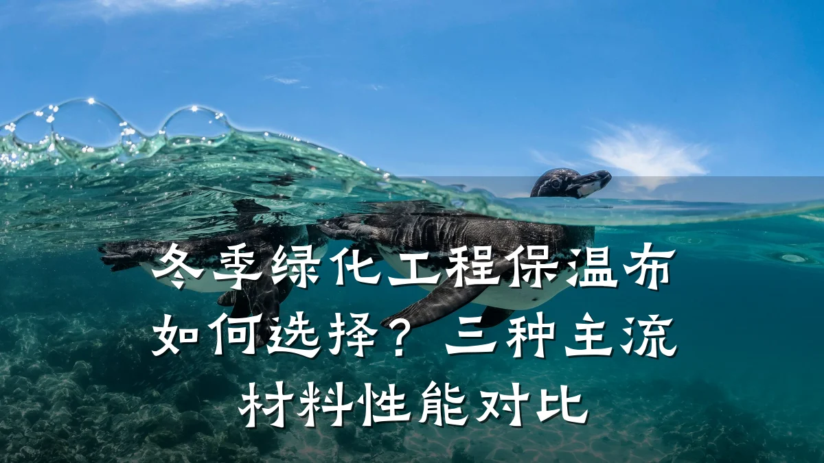 冬季绿化工程保温布如何选择？三种主流材料性能对比