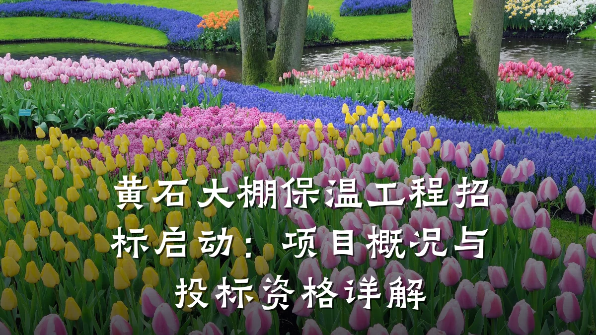 黄石大棚保温工程招标启动：项目概况与投标资格详解