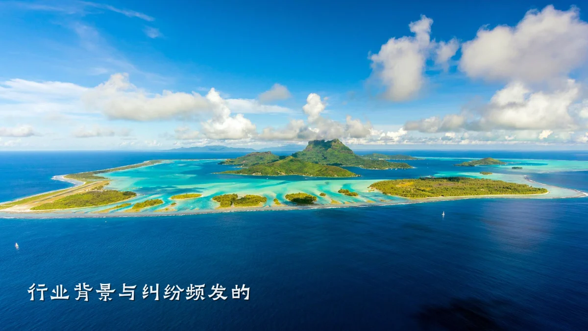 行业背景与纠纷频发的