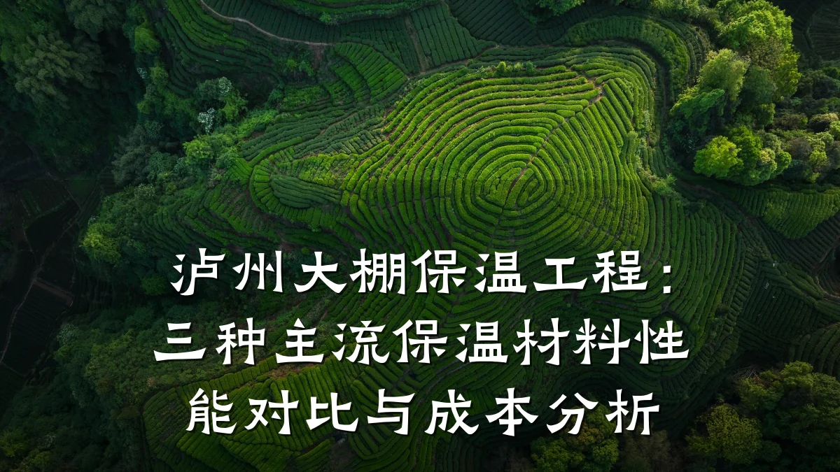 泸州大棚保温工程：三种主流保温材料性能对比与成本分析
