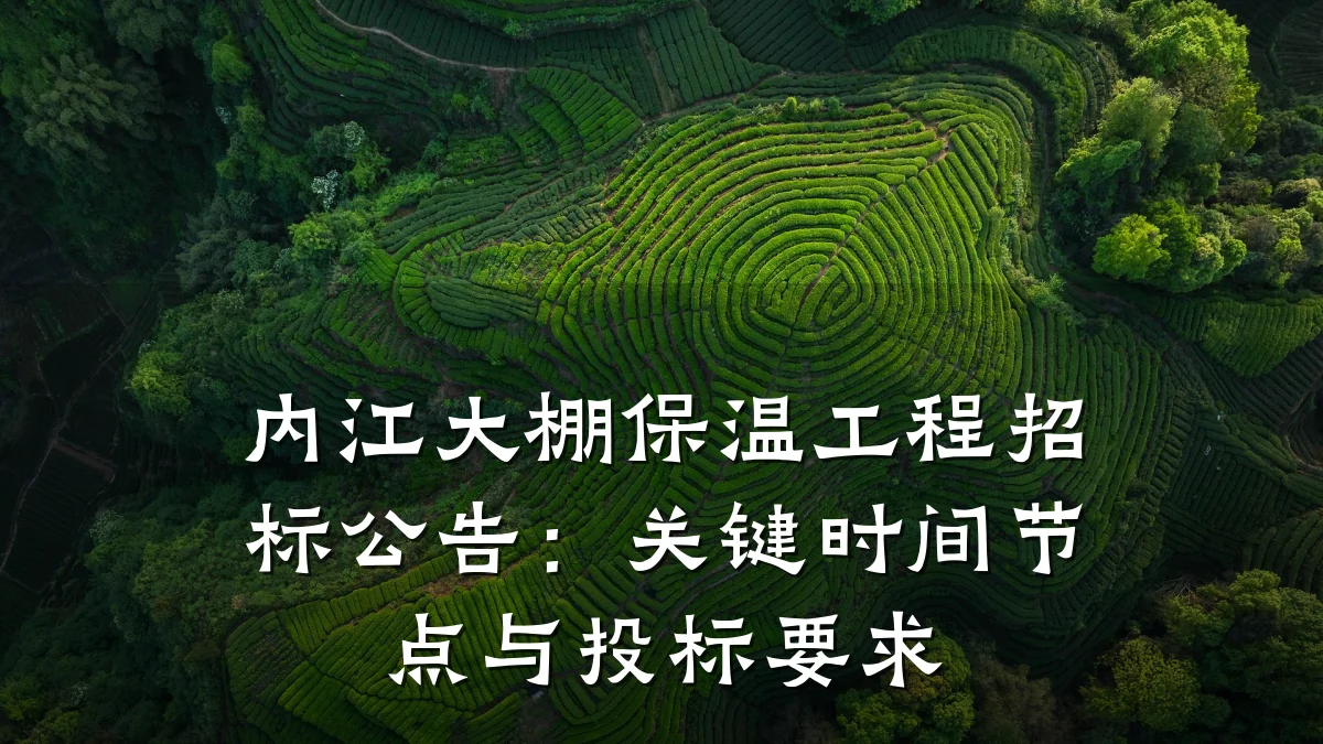 内江大棚保温工程招标公告：关键时间节点与投标要求