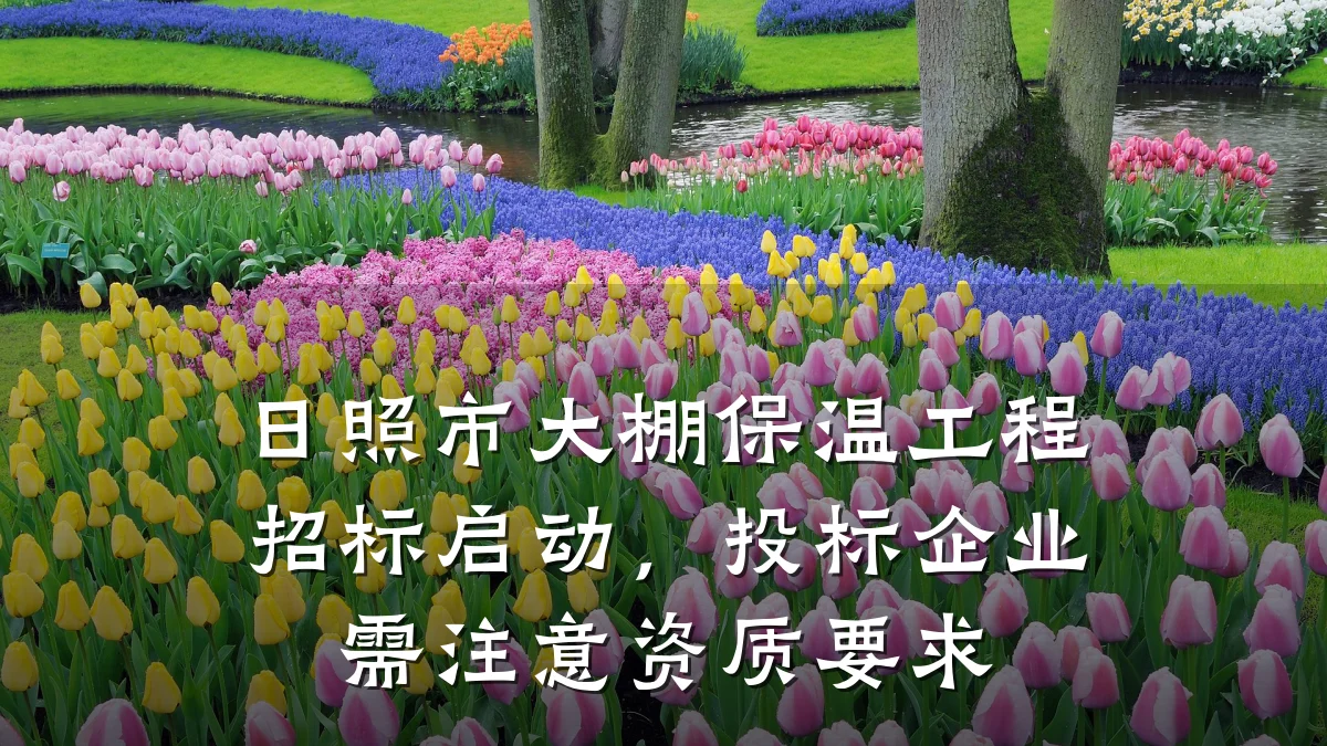 日照市大棚保温工程招标启动,投标企业需注意资质要求