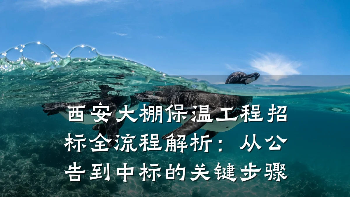 西安大棚保温工程招标全流程解析：从公告到中标的关键步骤