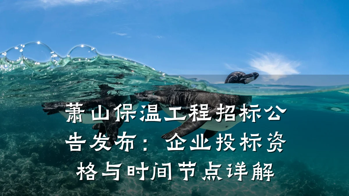 萧山保温工程招标公告发布：企业投标资格与时间节点详解