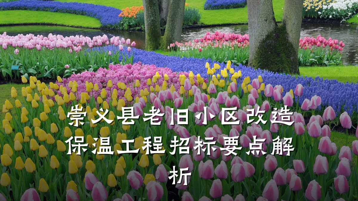 崇义县老旧小区改造保温工程招标要点解析