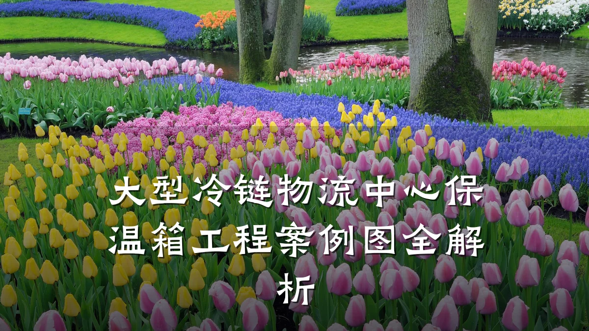 大型冷链物流中心保温箱工程案例图全解析