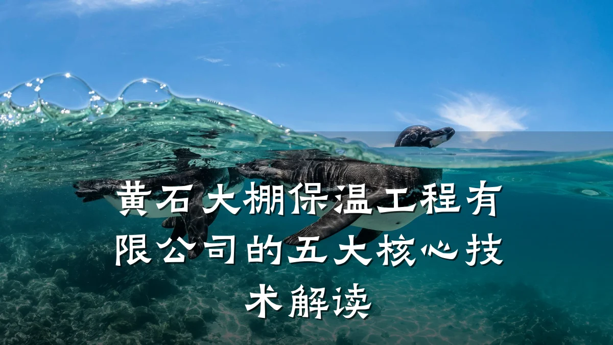 黄石大棚保温工程有限公司的五大核心技术解读