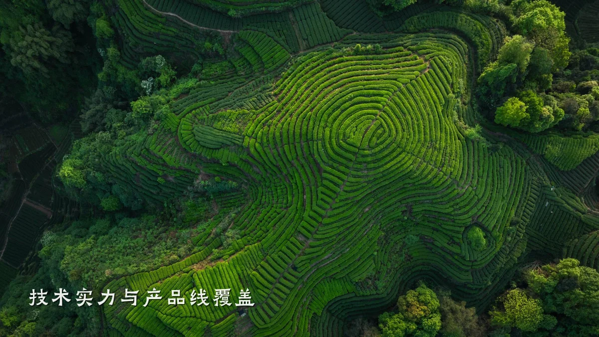技术实力与产品线覆盖