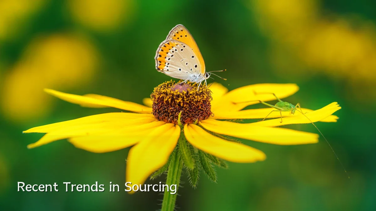 Recent Trends in Sourcing