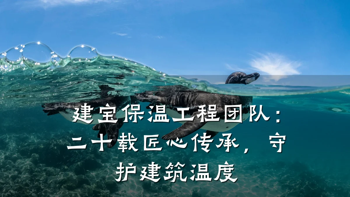 建宝保温工程团队：二十载匠心传承，守护建筑温度