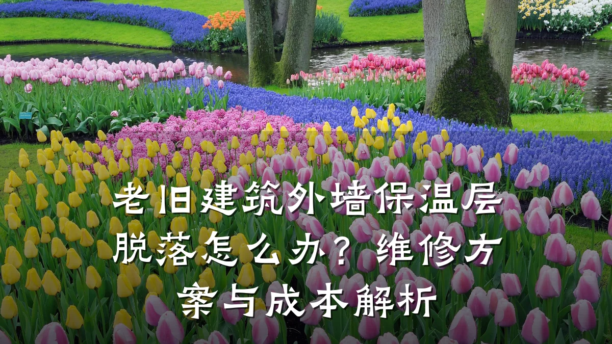 老旧建筑外墙保温层脱落怎么办？维修方案与成本解析