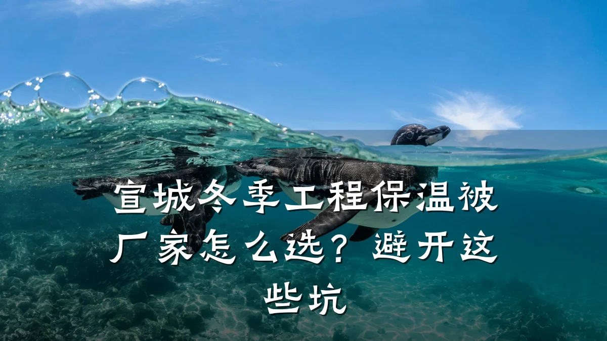 宣城冬季工程保温被厂家怎么选?避开这些坑