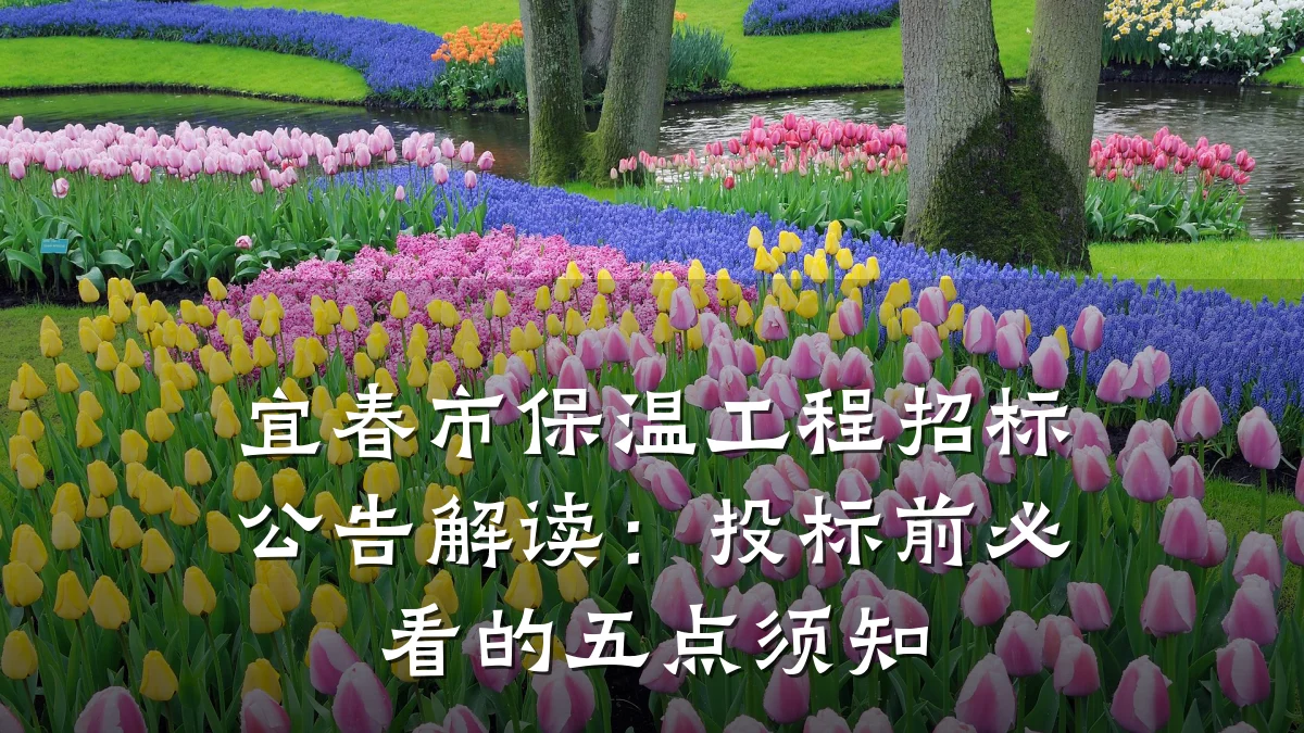 宜春市保温工程招标公告解读:投标前必看的五点须知