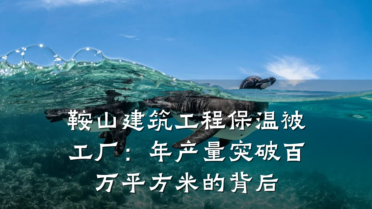 鞍山建筑工程保温被工厂:年产量突破百万平方米的背后