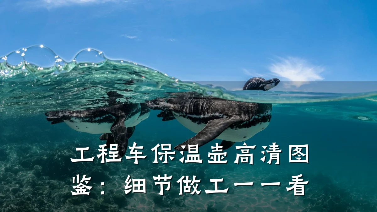 工程车保温壶高清图鉴：细节做工一一看