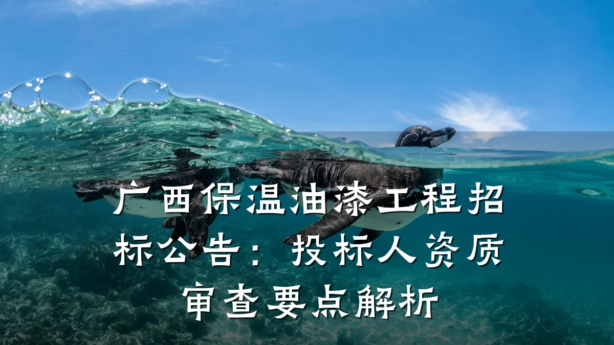 广西保温油漆工程招标公告：投标人资质审查要点解析