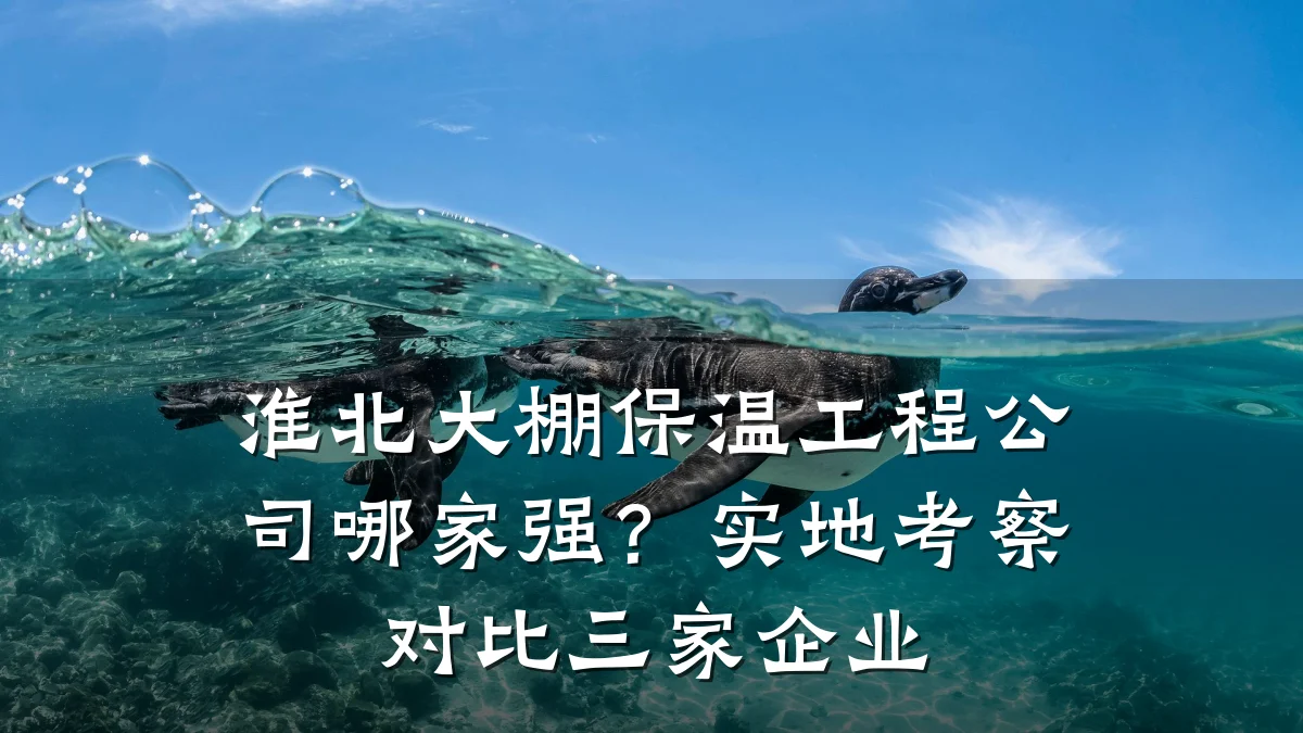 淮北大棚保温工程公司哪家强？实地考察对比三家企业