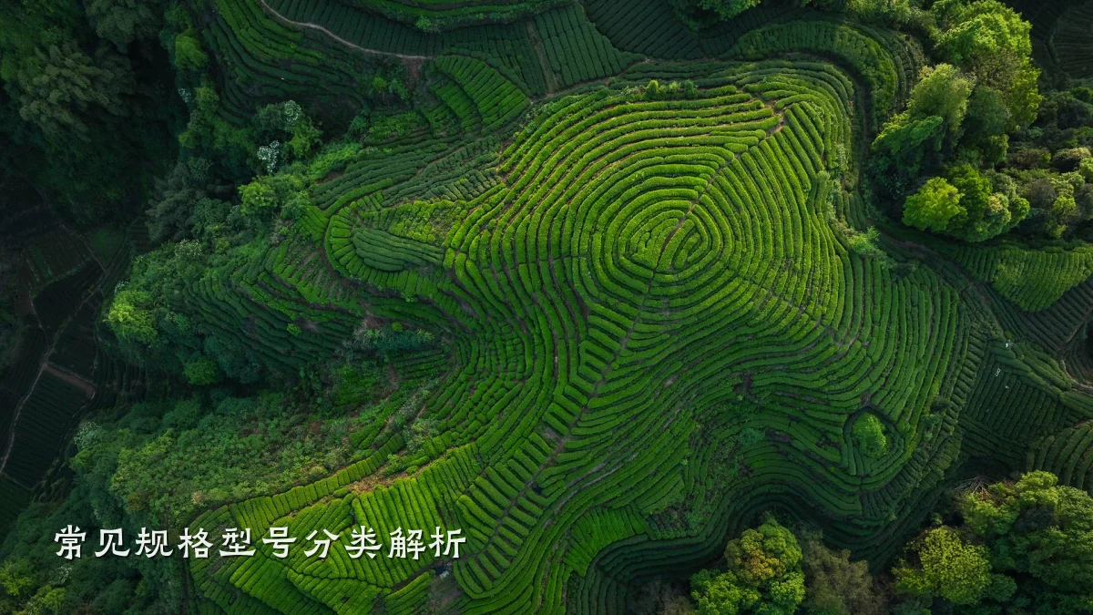 常见规格型号分类解析