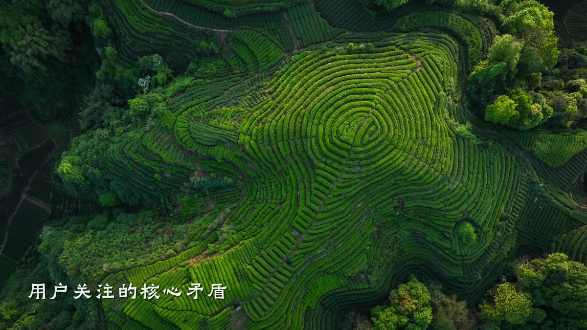 用户关注的核心矛盾