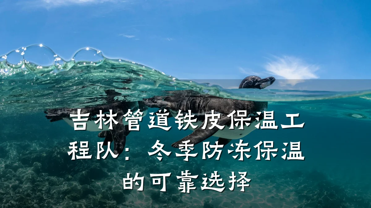 吉林管道铁皮保温工程队:冬季防冻保温的可靠选择