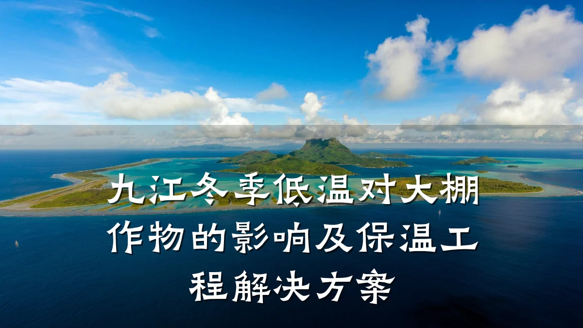 九江冬季低温对大棚作物的影响及保温工程解决方案