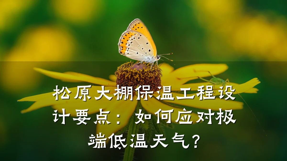 松原大棚保温工程设计要点：如何应对极端低温天气？