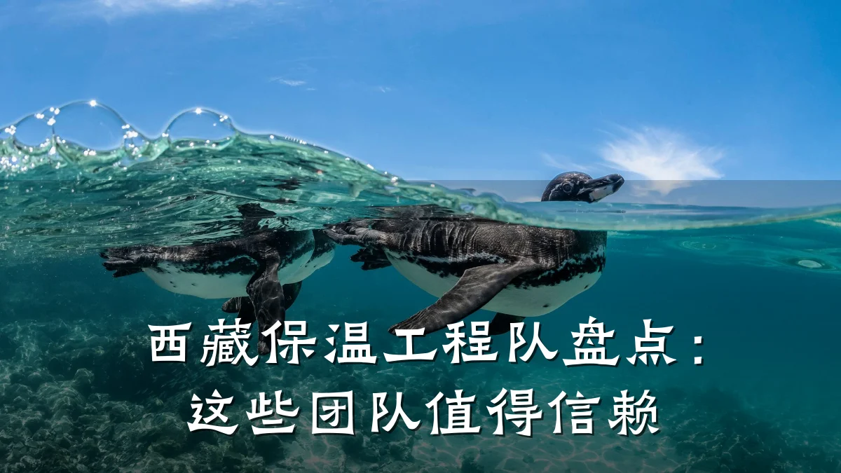 西藏保温工程队盘点：这些团队值得信赖