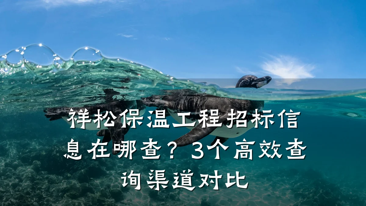 祥松保温工程招标信息在哪查？3个高效查询渠道对比