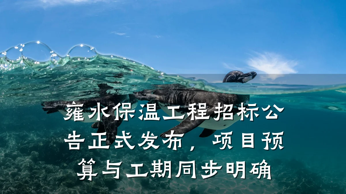 雍水保温工程招标公告正式发布，项目预算与工期同步明确