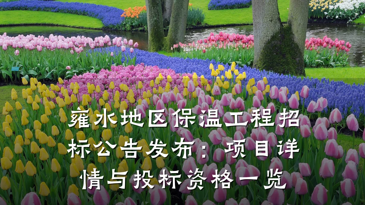 雍水地区保温工程招标公告发布：项目详情与投标资格一览