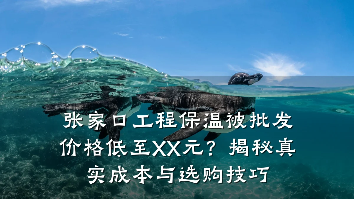 张家口工程保温被批发价格低至XX元？揭秘真实成本与选购技巧