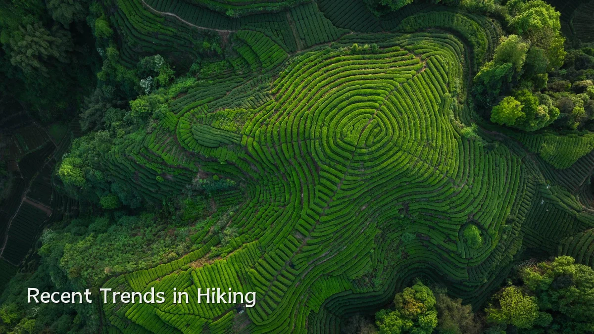 Recent Trends in Hiking