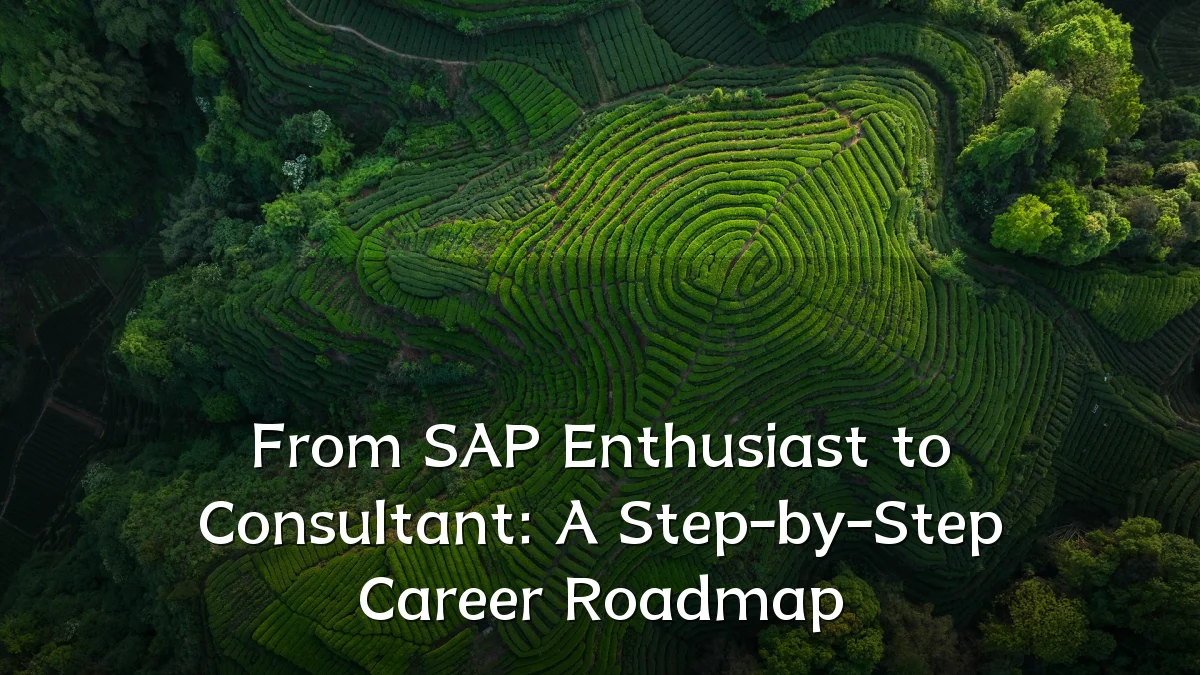From SAP Enthusiast to Consultant: A Step-by-Step Career Roadmap