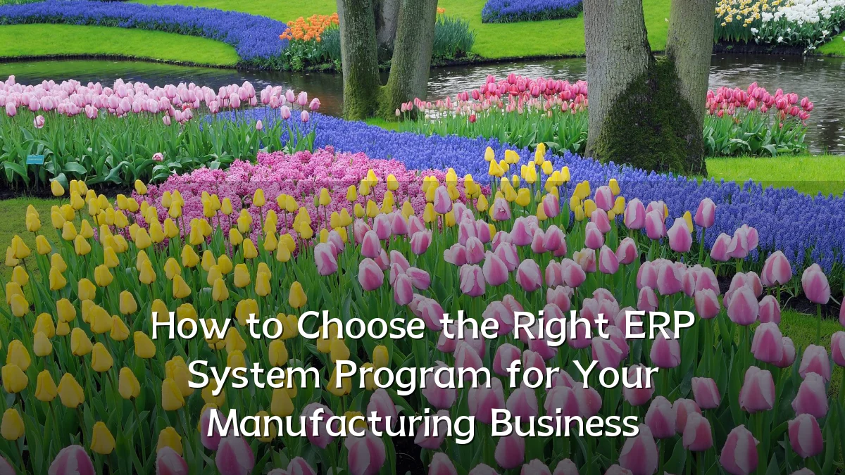 How to Choose the Right ERP System Program for Your Manufacturing Business
