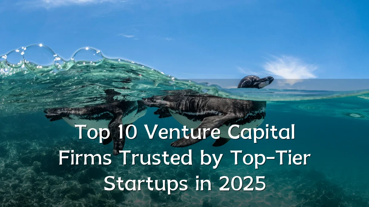 Top 10 Venture Capital Firms Trusted by Top-Tier Startups in 2025