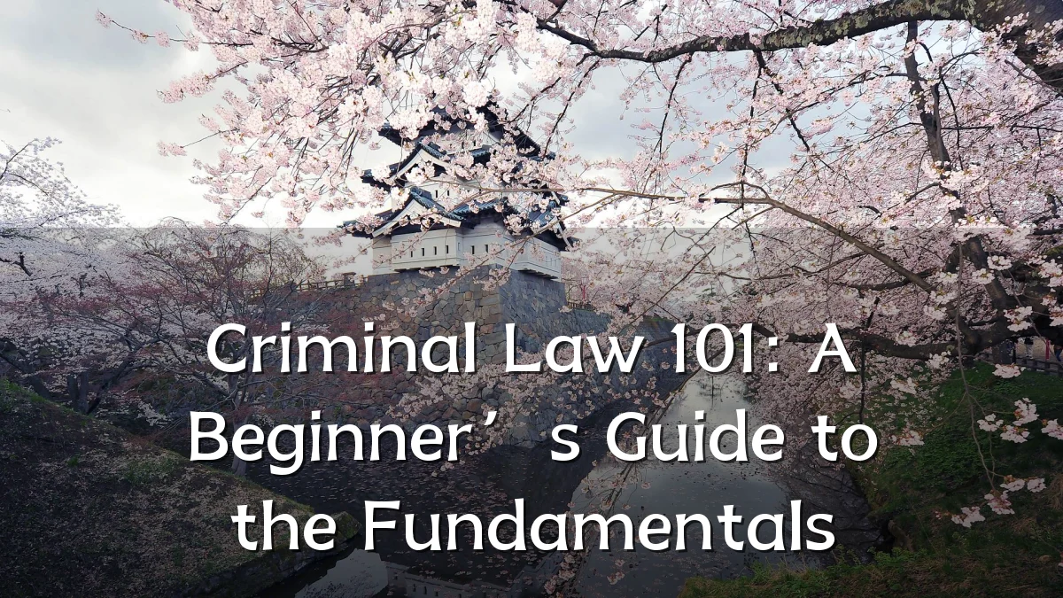 Criminal Law 101: A Beginner’s Guide to the Fundamentals