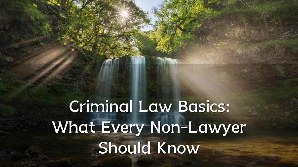 Criminal Law Basics: What Every Non-Lawyer Should Know
